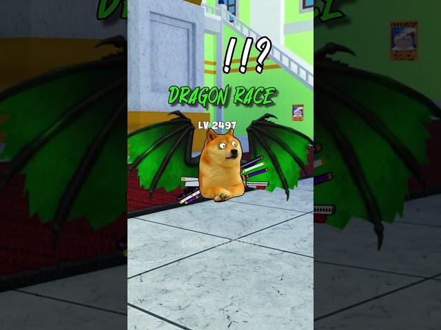 New Race ? 🪽| Doge Gaming