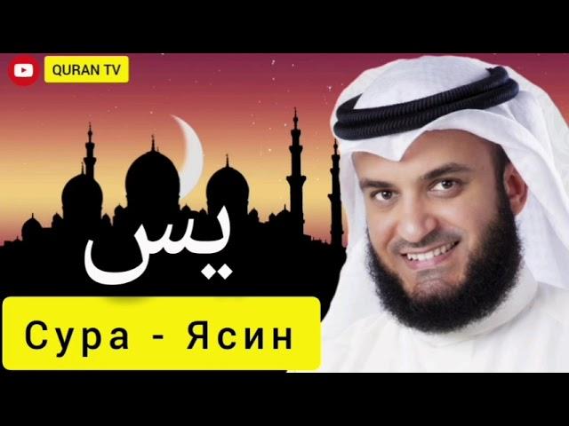 Сура  Ясин  Мишари Рашид#سورة ياسين مشاري راشد#Sura Yasin Mishary Rashid