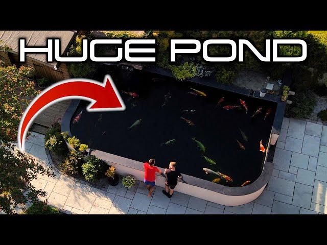 STUNNING 11,500 GALLON POND WITH AMAZING KOI COLLECTION 