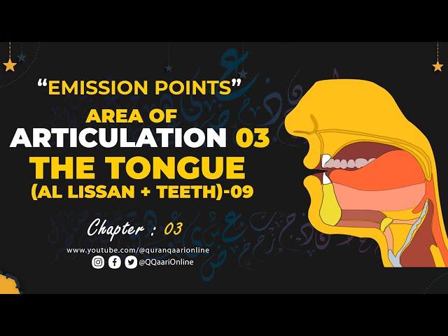 Articulation Point of the Letter-Tongue + Teeth-Raa-3H  | Emission Points | Quran Teaching