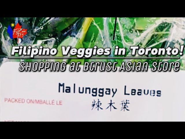 Feels Like Home! Shopping Filipino Veggies at Btrust Toronto #trending #subscribe #shortvideo