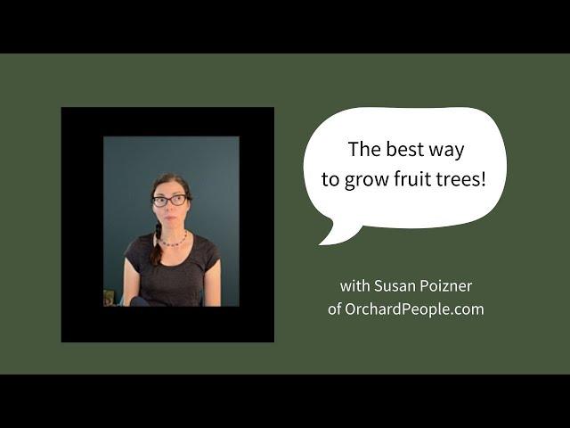 The Best Way to Grow Fruit Trees with Susan Poizner of OrchardPeople.com!