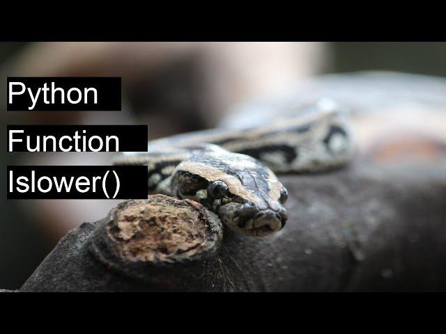 How to use function islower() in Python? - with practical example