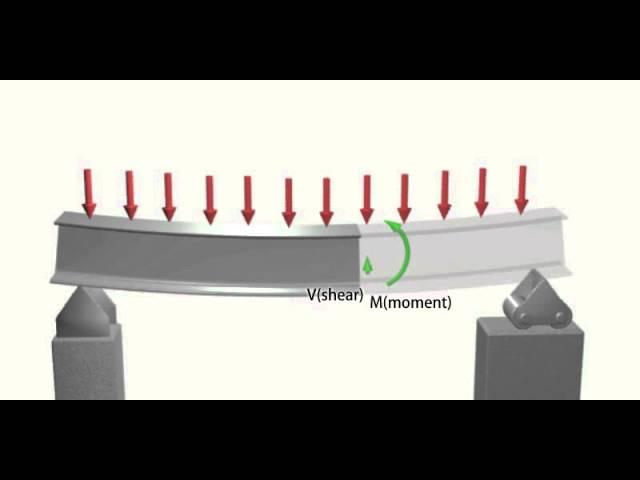 Beam Internal Force