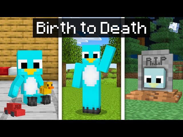 From BIRTH to DEATH in Minecraft