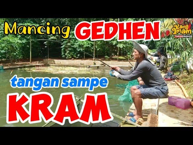 117 : mancing GEDHEN, tangan sampe kram,... strek tiada henti !! mancing borongan bawal part 1