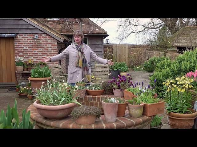 Gardening at home with Sarah | A tour of the Dutch Yard