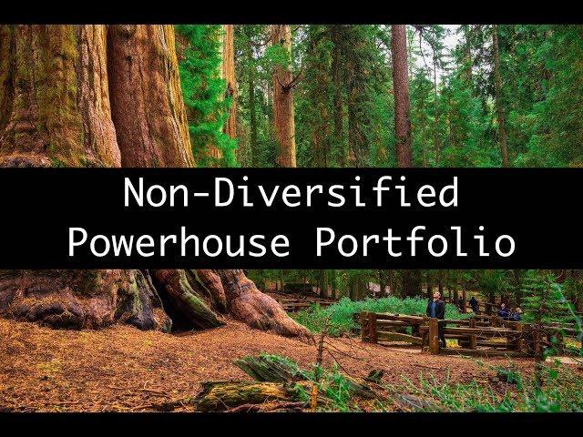 A Non-Diversified M1 Finance POWERHOUSE Portfolio