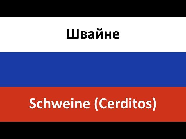 Швайне en español (Schweine / Cerditos) - Glukoza