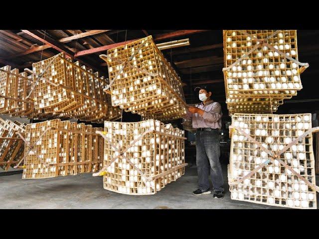 How Japanese Farming Million of SilkWorm for silk - Silk cocoon harvest and process in Factory