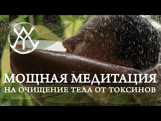 Мощная Медитация на Очищение, Освобождение Тела от Токсинов