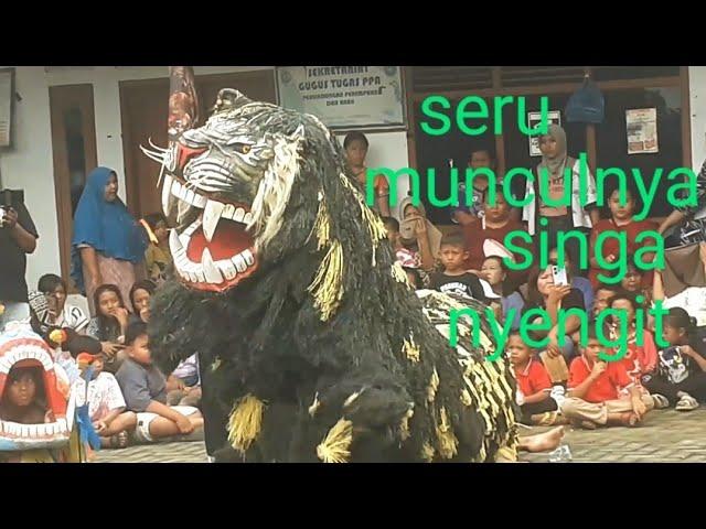 HIBURAN// SERU SEKALI MUNCULNYA SINGA NYENGIT LIVE PADI PACET