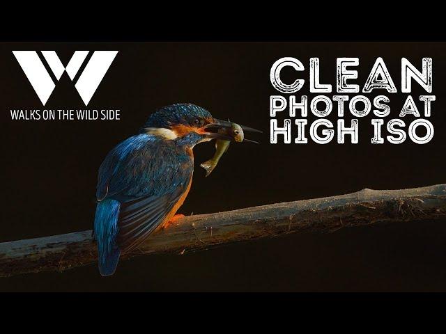 How I get clean images from high ISO photos