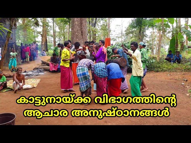 wayanadan tribal culture | കാട്ടുനായ്ക്ക വിഭാഗം ആചാര അനുഷ്ടാനങ്ങൾ | wayanad tribal dance