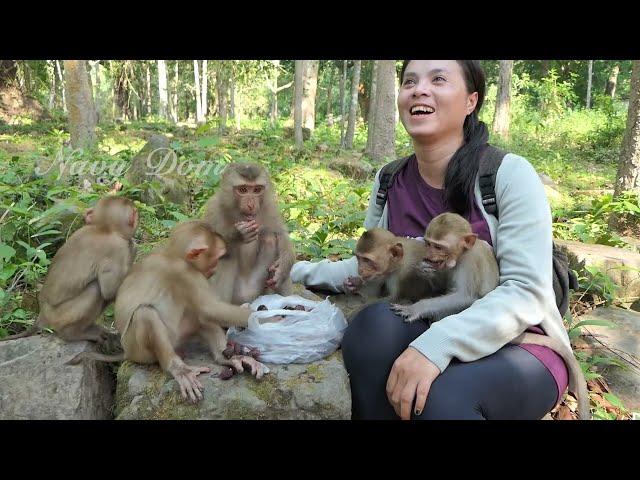 Mom Kunthea brings litchi fruit for Sovana and others, they eat it for the first time. thank KT