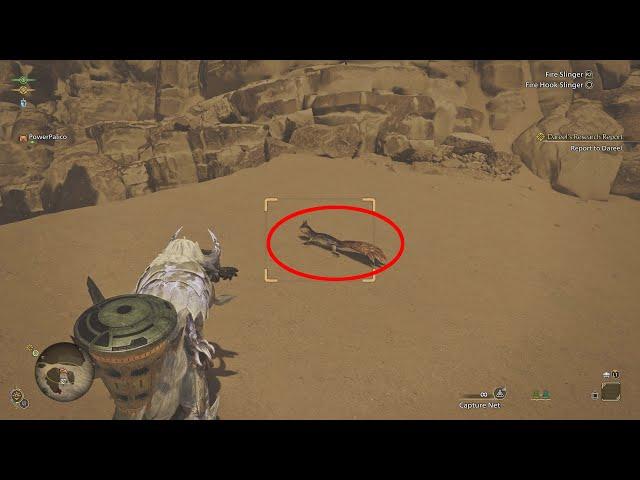 Monster Hunter Wilds - Tracktail Lizard Location (Dareel's Research Report Side Mission)