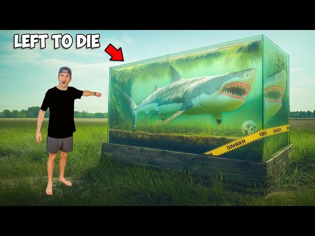 Buying an Abandoned Shark and Transforming Its Home!