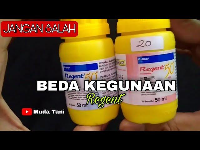 Kegunaan Regent 50 Merah dan Regent 50 Biru