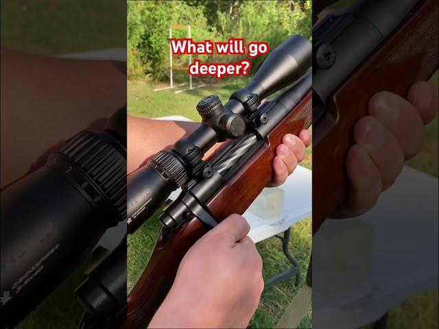 What will go deeper? 7.62x54 vs 308