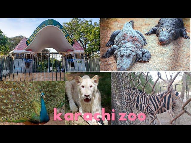 Visit of Karachi Zoo | Expedition To Pakistan | Garden Zoo Karachi 2022| Karachi zoo enjoy @aimlife2714
