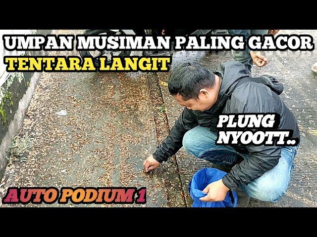 NEMPEL AIR LANGSUNG NYOTT...UMPAN GAK ADA OBAT EMANG