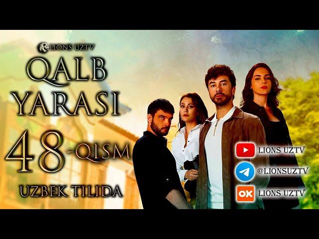 QALB YARASI 48 QISM UZBEK TILIDA HD FORMATDA | КАЛБ ЯРАСИ 48 КИСМ УЗБЕК ТИЛИДА