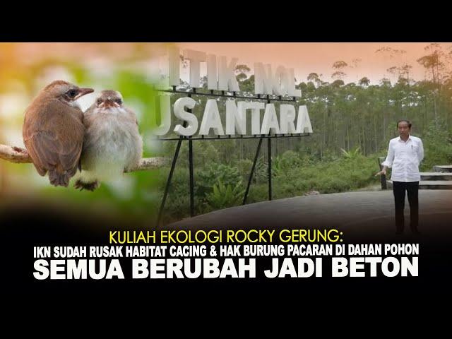 IKN RUSAK HABITAT CACING DAN HAK BURUNG PACARAN DI DAHAN POHON. SEMUA BERUBAH JADI BETON