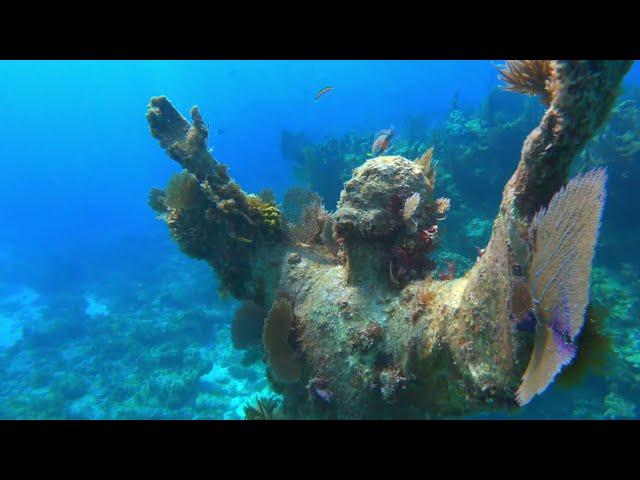 Incredible Diving in the Florida Keys | Christ of the Abyss, John Pennekamp, Biscayne