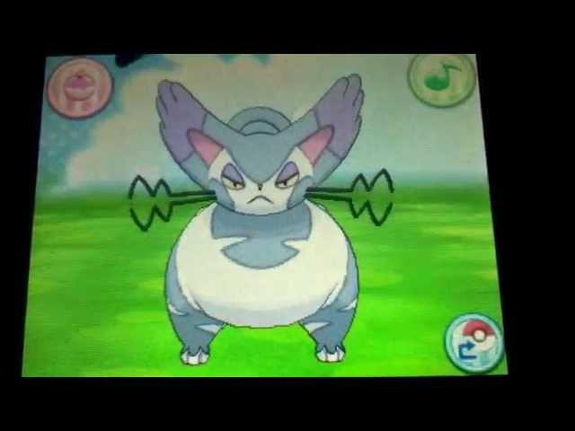 Purugly - Pokemon Amie