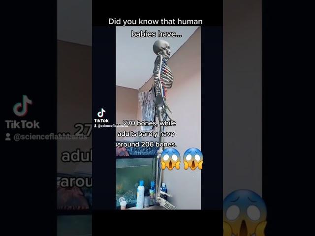 https://vm.tiktok.com/ZM8juGk5q/  #followme #biology #science #bones #education #anatomy #quiz