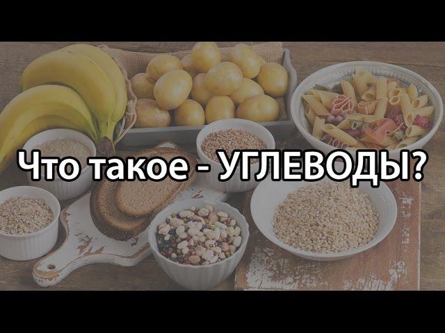 Что такое углеводы (в каких продуктах содержатся углеводы)