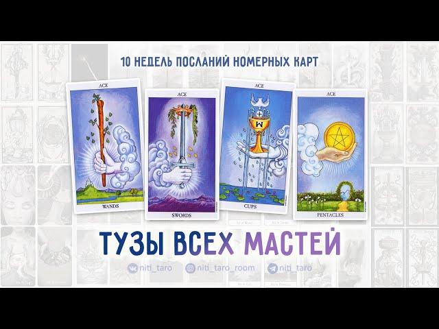 Тузы всех мастей - проживаем Младшие Арканы