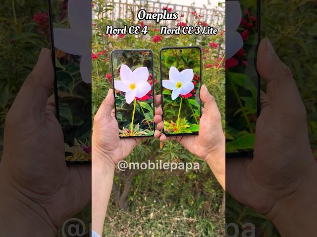 Oneplus Nord CE 4 vs Nord CE 3 Lite Camera Test  #shorts #oneplusnordce4 #oneplusnordce3lite