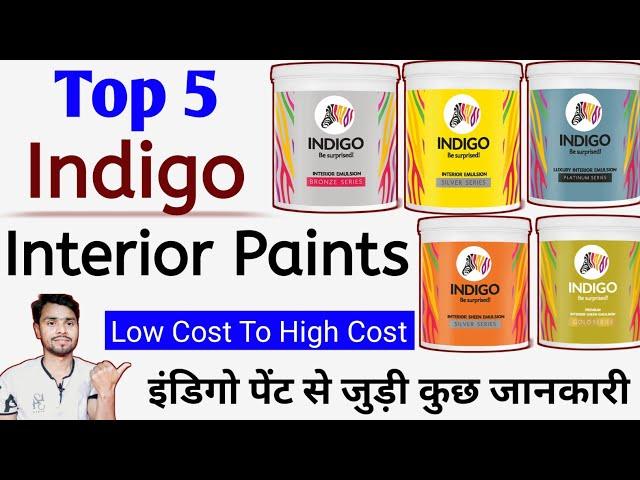Top 5 Indigo Interior Paint Price & Review | Indigo Paints
