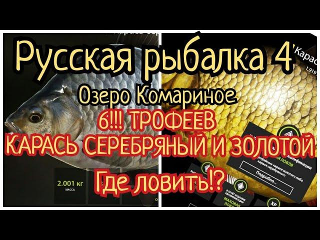 РР4. Озеро Комариное. 6! ТРОФЕЕВ Карась Серебряный и Золотой. Также Плотва, Линь, Окунь и Ротан.