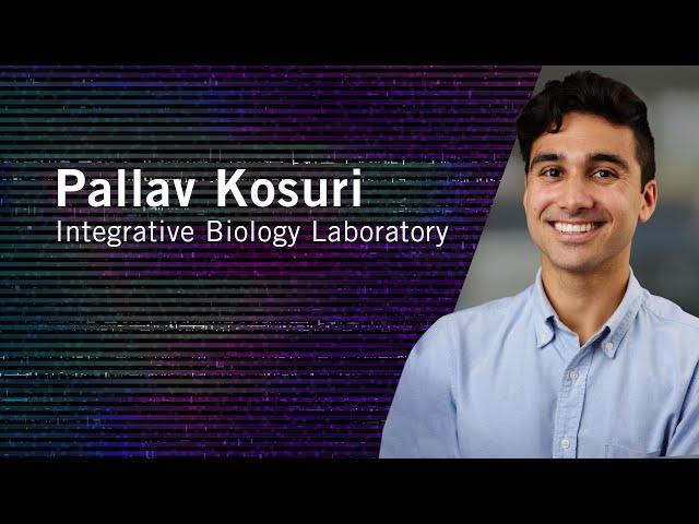 From Then to When | Meet Salk Scientists | Pallav Kosuri