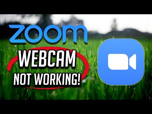 Camera Not Working On Zoom In Windows 11/10  - [Tutorial]