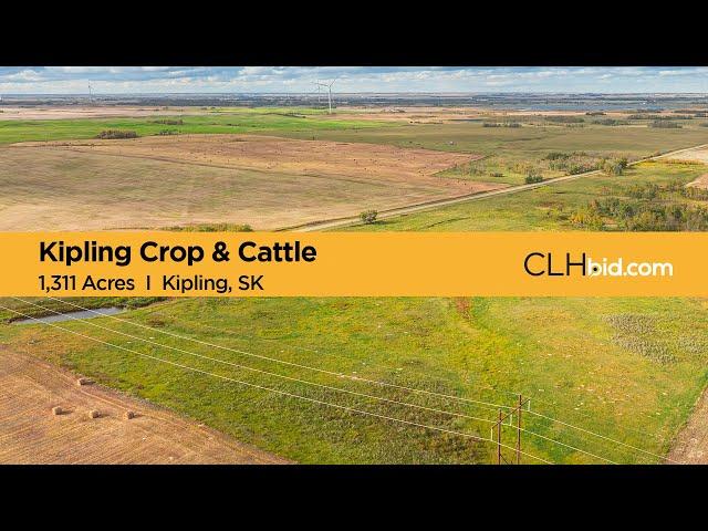 Kipling Crop & Cattle I SK Farm Land For Sale I Kipling, SK