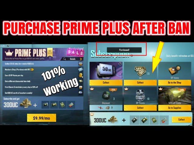 How To Buy Prime Plus After Ban PubgMobile | Purchase Prime Plus membership After ban Pubg in India