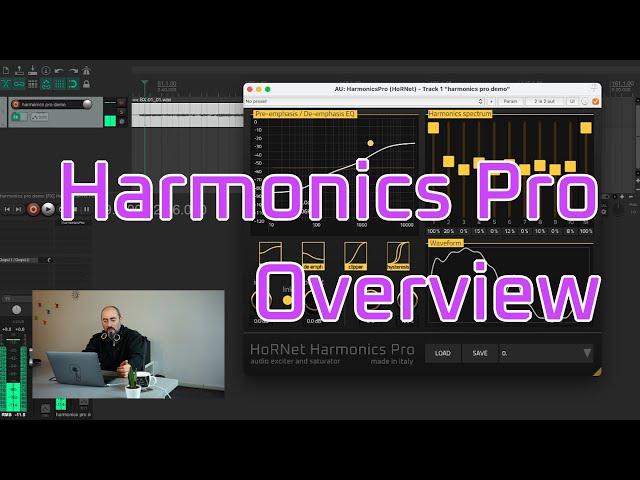 HoRNet Harmonics Pro: An Advanced Exciter and Saturator Plugin Overview