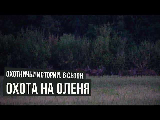 Охота на оленя \ Охотничьи истории