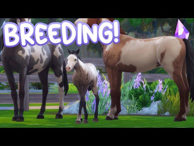 BREEDING YOUR HORSES + Custom Foals | Sims 4