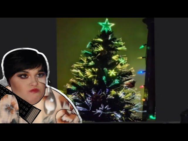 Kat Broke DSP's Christmas Tree His Mommy Gave Him!