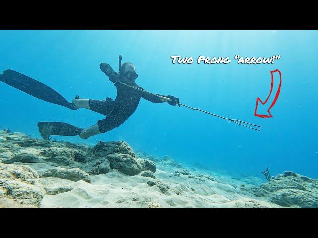 Underwater Archery | Semi-Primitive Spearfishing Catch & Cook