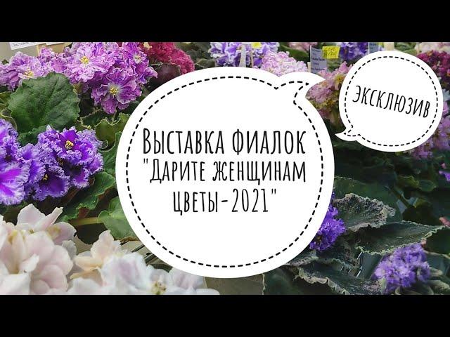 Выставка фиалок "Дарите женщинам цветы-2021". Презентация московских коллекционеров в Доме Фиалки.