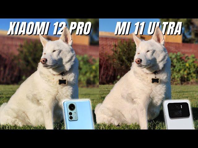 Xiaomi 12 Pro vs Mi 11 Ultra Camera Comparison