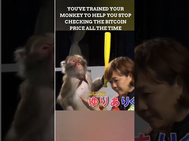 YOU'VE TRAINED YOUR MONKEY TO HELP YOU STOP CHECKING THE BITCOIN PRICE ALL THE TIME