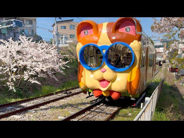 Riding Japan's Unique Cable Car shaped like Cats and Dogs ️