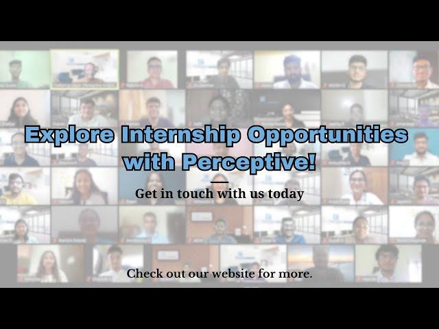 Our interns shared their experience of working with Perceptive | Visual Analyst Internship