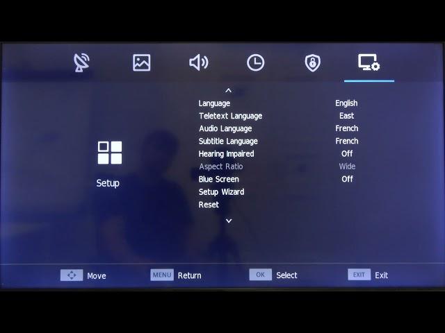 HiSense LED TV (H40BE5000) - Change Audio Language